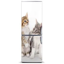 naklejka-magnes-na-lodowke-dwa-male-koty-60x180