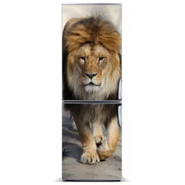naklejka-magnetyczna-lodowke-sciane-lew-60x180