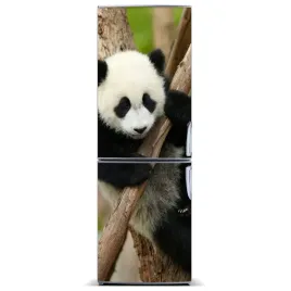 naklejka-magnes-na-lodowke-panda-na-drzewie-60x180