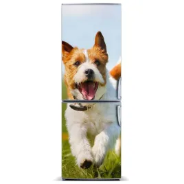 mata-magnetyczna-na-lodowke-pies-jack-russell-xl