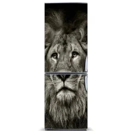 naklejka-magnetyczna-lodowke-sciane-lew-60x180