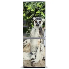 naklejka-magnetyczna-lodowke-sciane-lemur-60x180