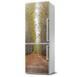 magnes-na-lodowke-magnetyczna-las-brzozowy-60x180