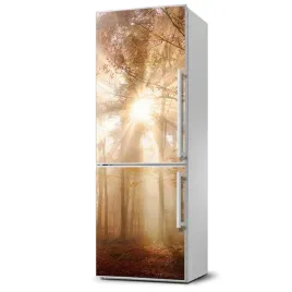 magnes-na-lodowke-magnetyczna-las-jesienia-60x180