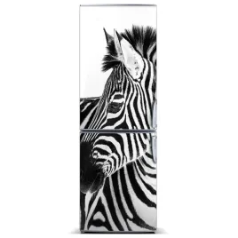 naklejka-magnes-na-lodowke-zebra-w-sniegu-60x180