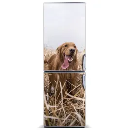 naklejka-magnes-na-lodowke-golden-retriever-60x180