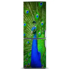 naklejka-magnetyczna-lodowke-sciane-paw-60x180