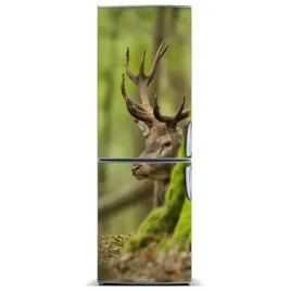 naklejka-magnetyczna-lodowke-sciane-jelen-60x180
