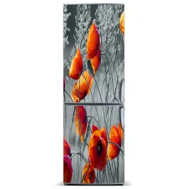 mata-magnetyczna-na-lodowke-polne-maki-60x180