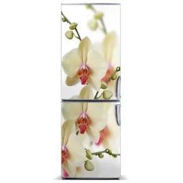 naklejka-magnes-na-lodowke-orchidea-60x180