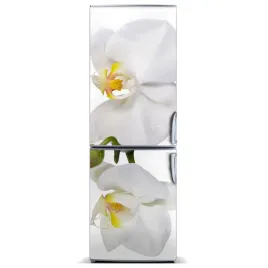 naklejka-magnes-na-lodowke-biala-orchidea-60x180