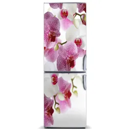 nalepka-naklejka-tapeta-na-lodowke-orchidea-60x180