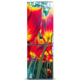 nalepka-naklejka-tapeta-na-lodowke-tulipany-60x180