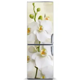 nalepka-mata-tapeta-na-lodowke-orchidea-60x180