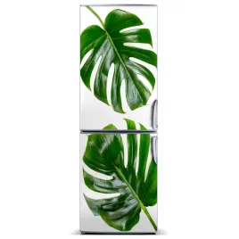 magnes-naklejka-tapeta-na-lodowke-monstera-60x180