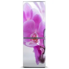 foto-magnes-tapeta-na-lodowke-rozowa-orchidea-xl