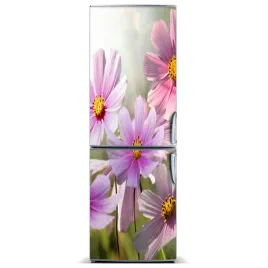 naklejka-magnetyczna-magnes-polne-kwiaty-60x180