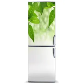 naklejka-magnes-magnes-zielone-liscie-60x180