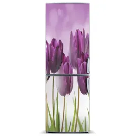 naklejka-magnes-magnes-fioletowe-tulipany-60x180