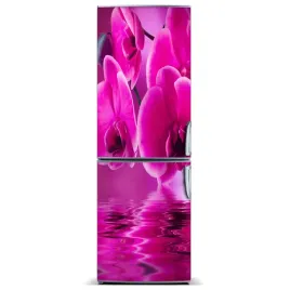 naklejka-magnes-magnes-rozowa-orchidea-60x180