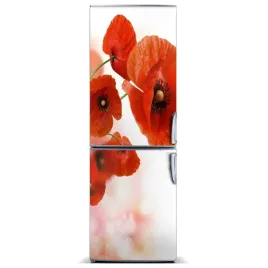 naklejka-magnes-magnes-mak-polny-60x180