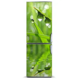 naklejka-magnetyczna-magnes-zdzbla-trawy-60x180