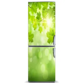 naklejka-magnes-magnes-zielone-liscie-60x180