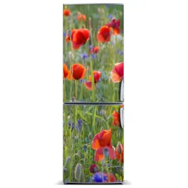naklejka-magnes-zdjecie-magnes-polne-maki-60x180
