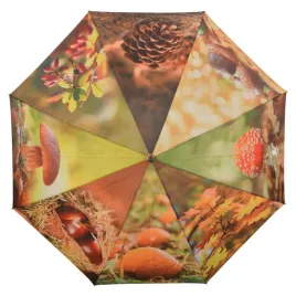 parasol-jesienny-automatyczny-w-dynie-szyszki-kasztany-grzyby-duzy-120cm