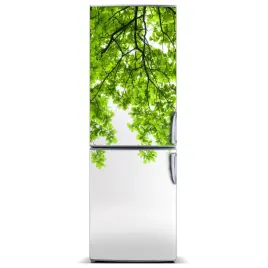 naklejka-magnetyczna-magnes-korona-drzew-60x180