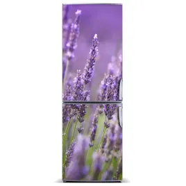 naklejka-magnetyczna-magnes-pole-lawendy-60x180