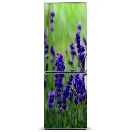 naklejka-magnetyczna-magnes-pole-lawendy-60x180