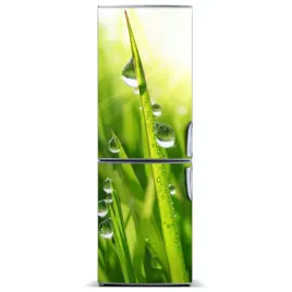 naklejka-magnetyczna-magnes-zdzbla-trawy-60x180