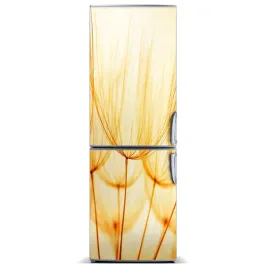 naklejka-magnes-magnes-nasiona-dmuchawca-60x180
