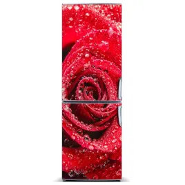 naklejka-magnes-magnes-czerwona-roza-60x180
