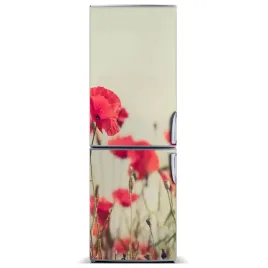 naklejka-magnetyczna-magnes-polne-maki-60x180