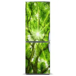 naklejka-magnetyczna-magnes-korona-drzew-60x180