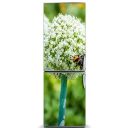 naklejka-magnes-magnes-kwiaty-czosnku-60x180