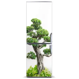 naklejka-magnes-magnes-drzewo-bonsai-60x180