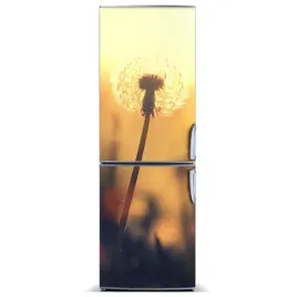 naklejka-magnetyczna-magnes-dmuchawiec-60x180