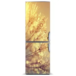 naklejka-magnes-magnes-nasiona-dmuchawca-60x180