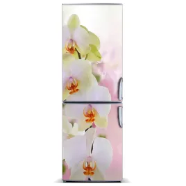 naklejka-magnes-na-lodowke-biala-orchidea-60x180