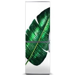 magnes-magnes-na-lodowke-lisc-bananowca-60x180
