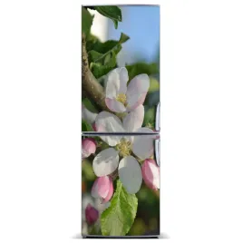 naklejka-magnetyczna-lodowke-kwiaty-wisni-60x180