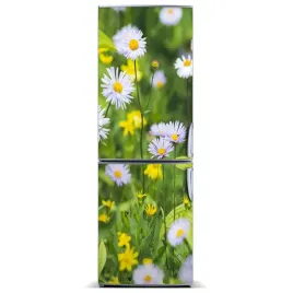magnes-naklejka-tapeta-na-lodowke-stokrotki-60x180