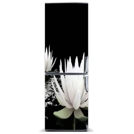 foto-magnes-tapeta-na-lodowke-kwiat-lotosu-60x180