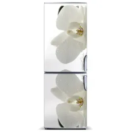 naklejka-magnes-magnes-orchidea-i-60x180