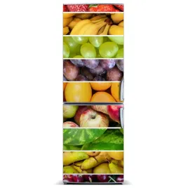 fototapeta-magnesowa-na-lodowke-kolorowe-owoce