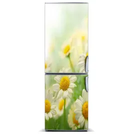 naklejka-magnes-zdjecie-magnes-stokrotki-60x180