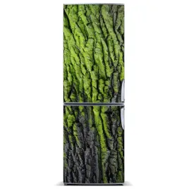 naklejka-magnes-zdjecie-magnes-drzewa-60x180